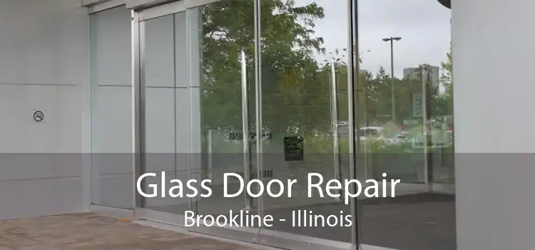 Glass Door Repair Brookline - Illinois