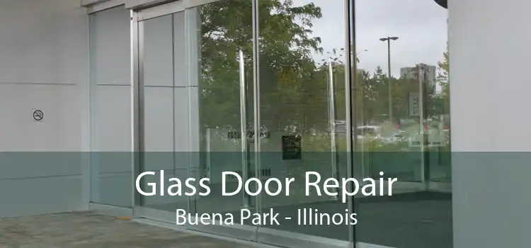 Glass Door Repair Buena Park - Illinois