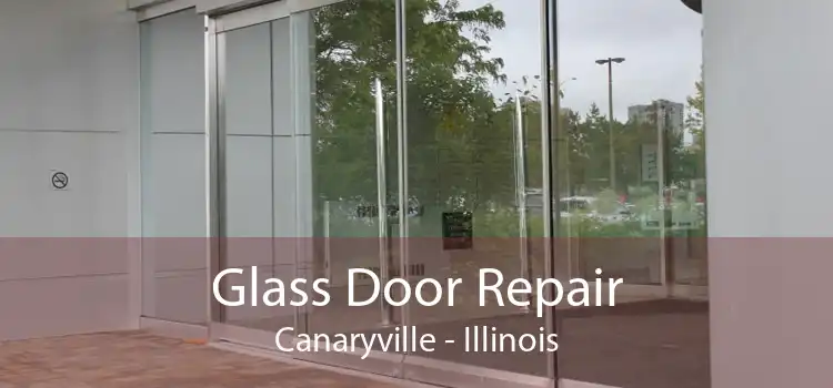 Glass Door Repair Canaryville - Illinois