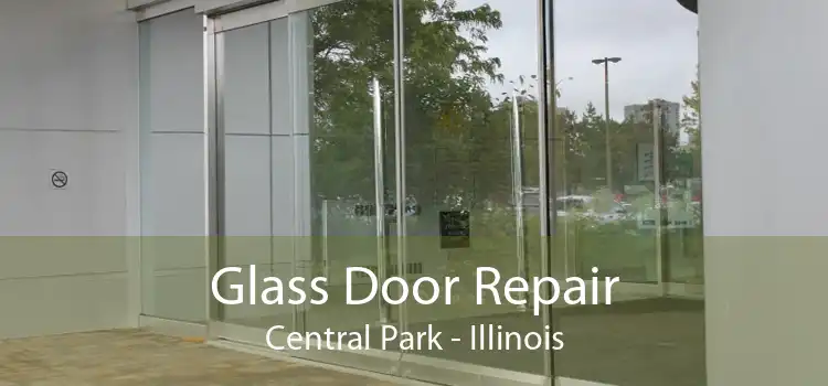 Glass Door Repair Central Park - Illinois