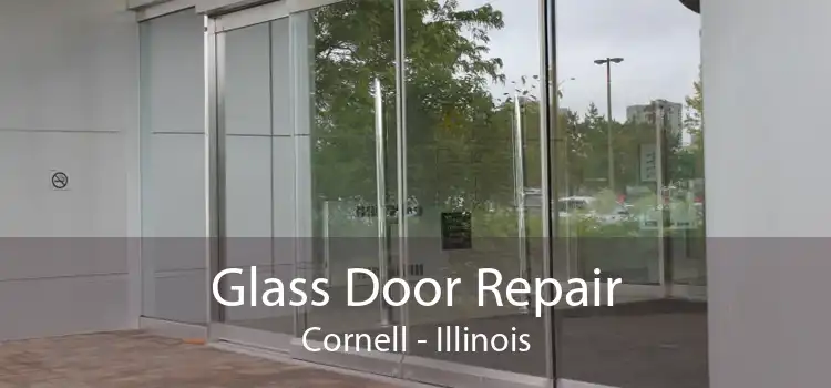 Glass Door Repair Cornell - Illinois