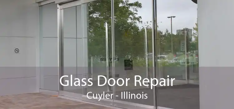 Glass Door Repair Cuyler - Illinois