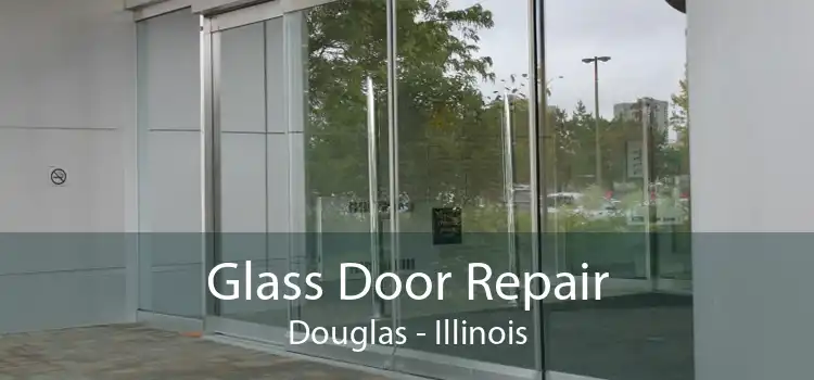 Glass Door Repair Douglas - Illinois