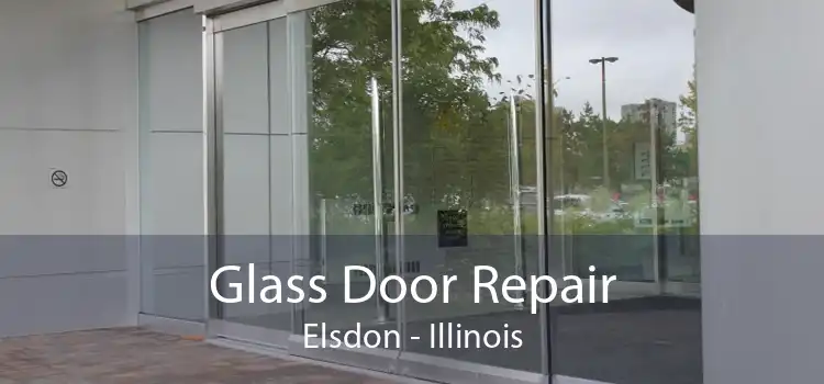 Glass Door Repair Elsdon - Illinois