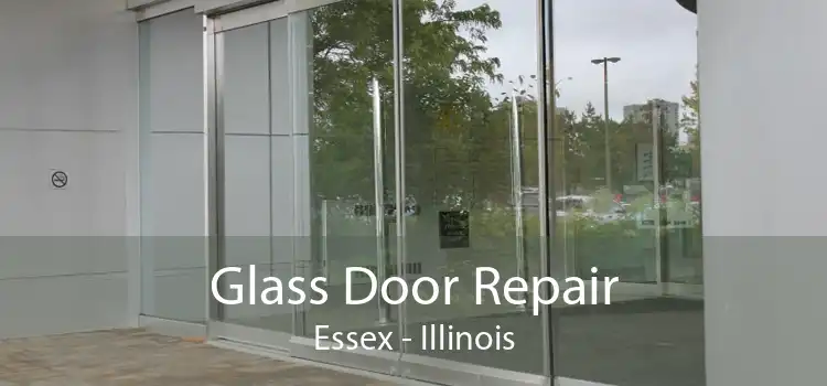 Glass Door Repair Essex - Illinois