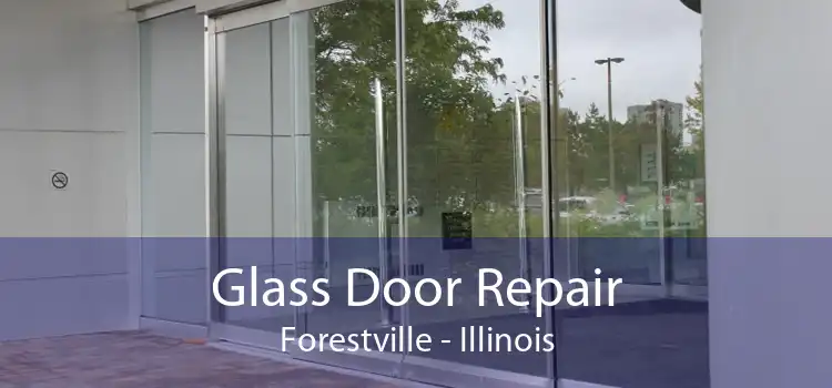 Glass Door Repair Forestville - Illinois