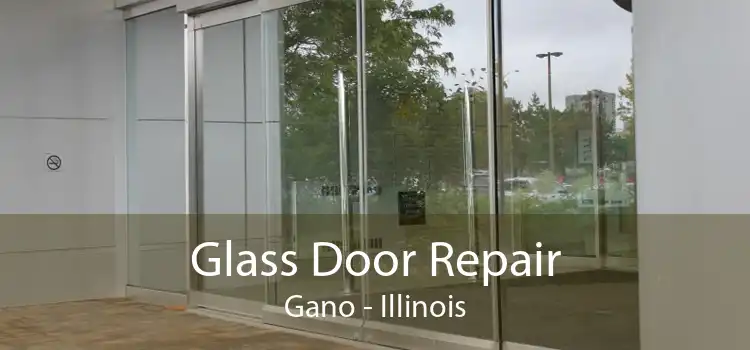 Glass Door Repair Gano - Illinois