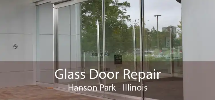 Glass Door Repair Hanson Park - Illinois