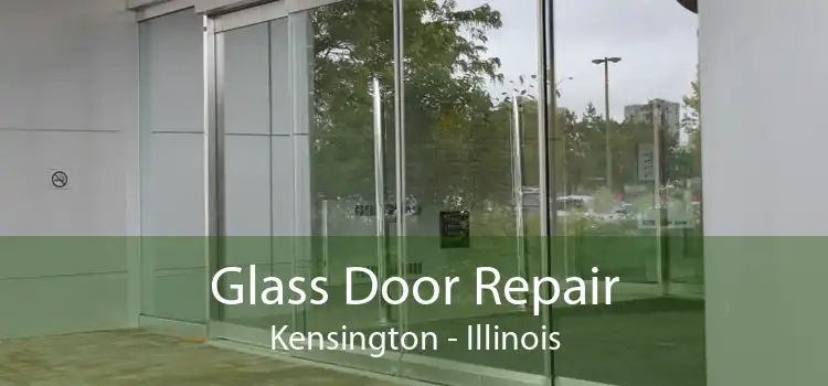 Glass Door Repair Kensington - Illinois