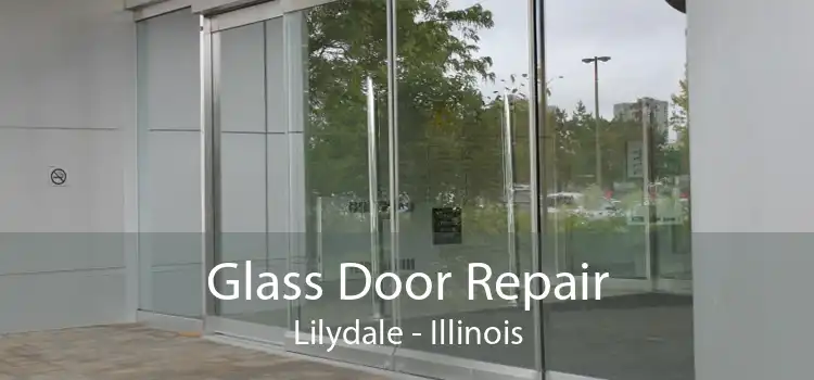 Glass Door Repair Lilydale - Illinois