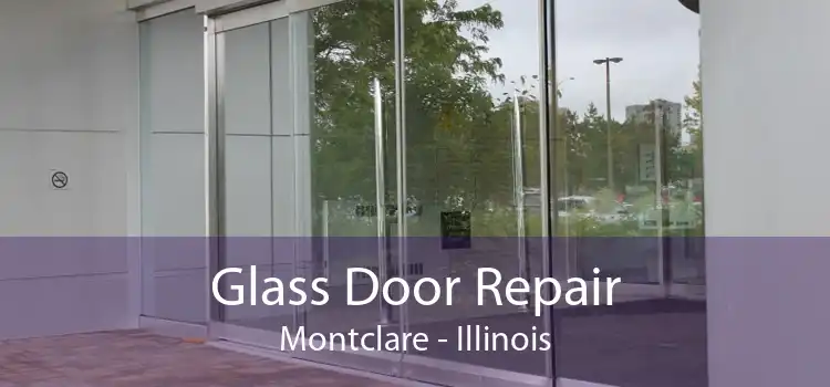 Glass Door Repair Montclare - Illinois