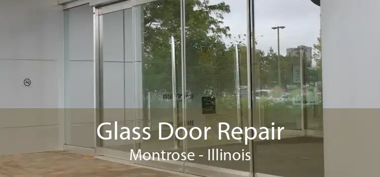 Glass Door Repair Montrose - Illinois