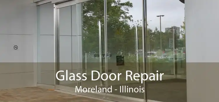 Glass Door Repair Moreland - Illinois