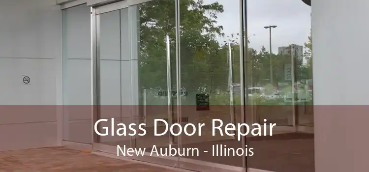 Glass Door Repair New Auburn - Illinois