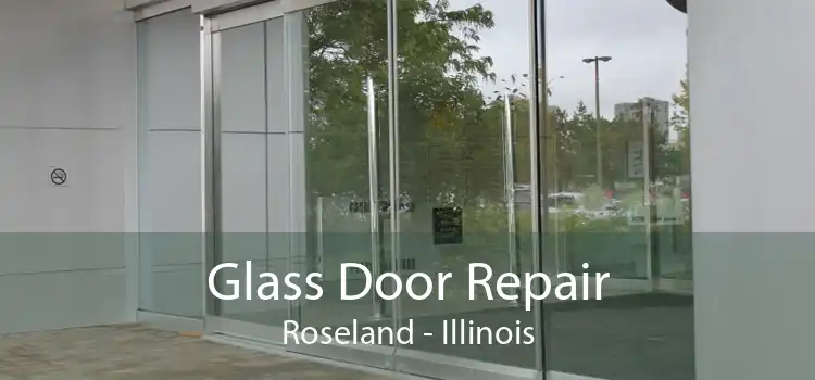 Glass Door Repair Roseland - Illinois