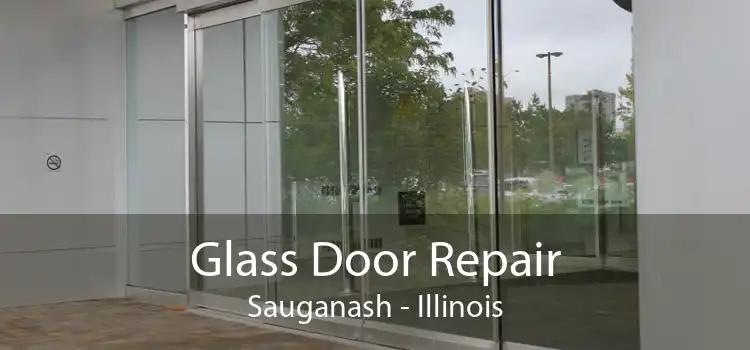 Glass Door Repair Sauganash - Illinois