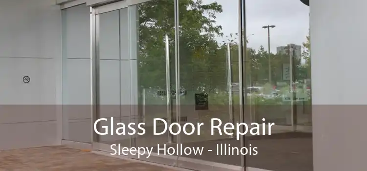 Glass Door Repair Sleepy Hollow - Illinois