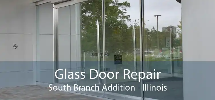 Glass Door Repair South Branch Addition - Illinois