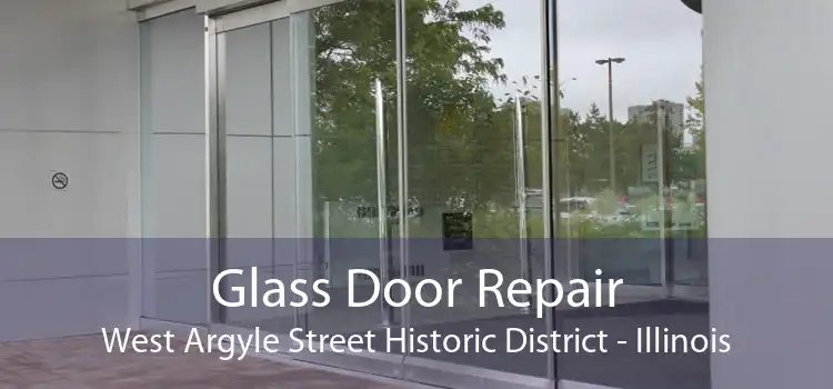 Glass Door Repair West Argyle Street Historic District - Illinois