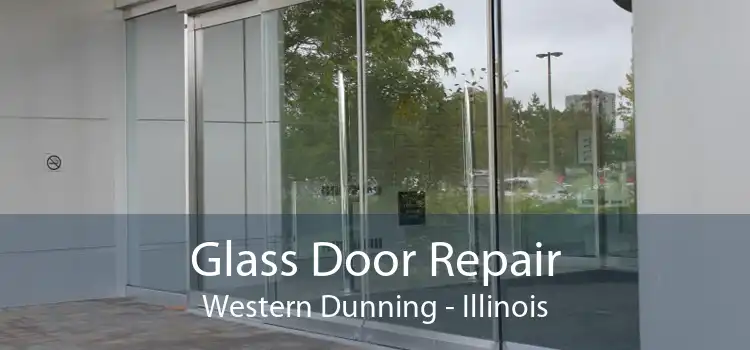 Glass Door Repair Western Dunning - Illinois