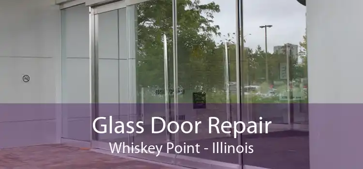 Glass Door Repair Whiskey Point - Illinois