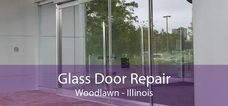 Glass Door Repair Woodlawn - Illinois