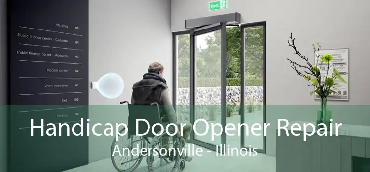 Handicap Door Opener Repair Andersonville - Illinois