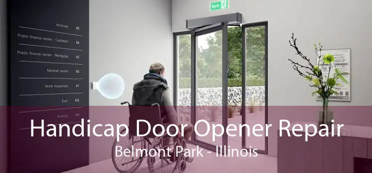 Handicap Door Opener Repair Belmont Park - Illinois