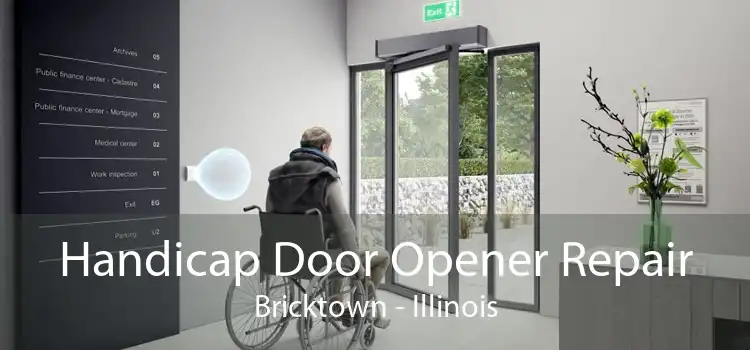 Handicap Door Opener Repair Bricktown - Illinois