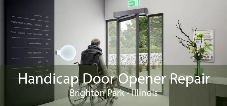 Handicap Door Opener Repair Brighton Park - Illinois