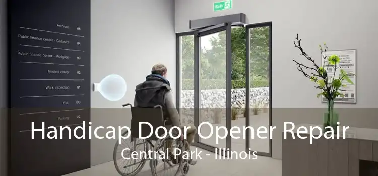 Handicap Door Opener Repair Central Park - Illinois