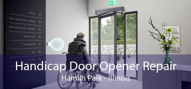 Handicap Door Opener Repair Hamlin Park - Illinois