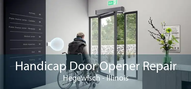 Handicap Door Opener Repair Hegewisch - Illinois