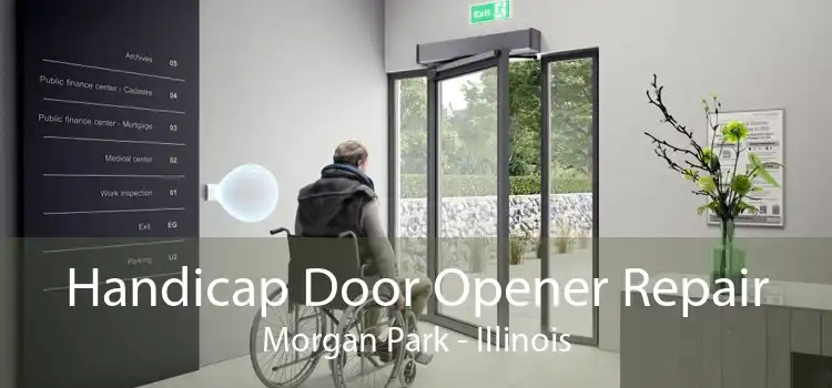 Handicap Door Opener Repair Morgan Park - Illinois