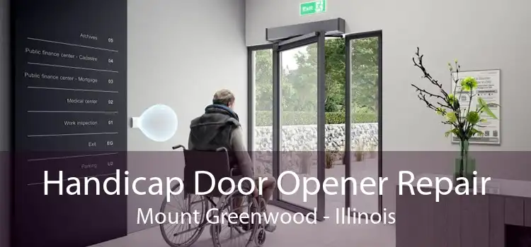 Handicap Door Opener Repair Mount Greenwood - Illinois