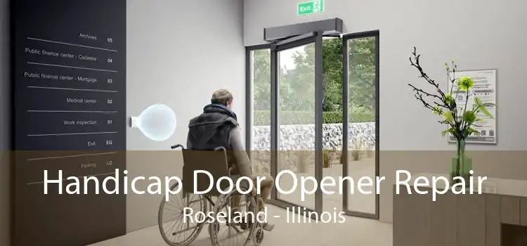 Handicap Door Opener Repair Roseland - Illinois