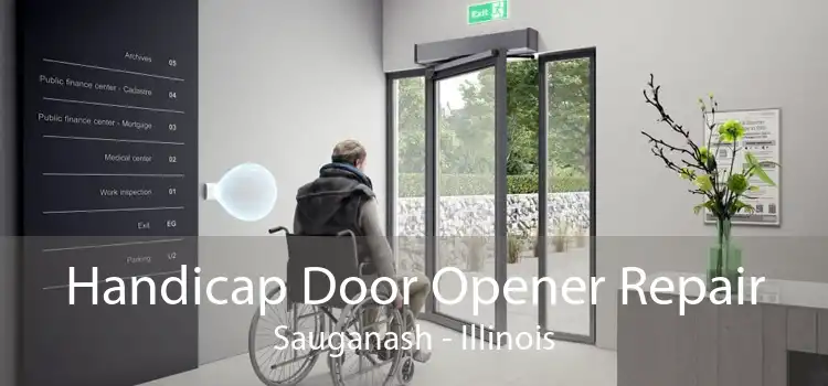 Handicap Door Opener Repair Sauganash - Illinois