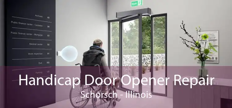 Handicap Door Opener Repair Schorsch - Illinois