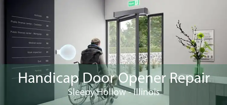 Handicap Door Opener Repair Sleepy Hollow - Illinois