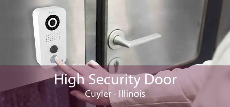 High Security Door Cuyler - Illinois