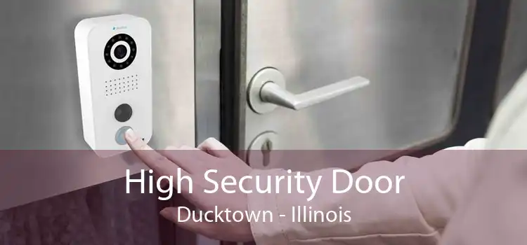 High Security Door Ducktown - Illinois