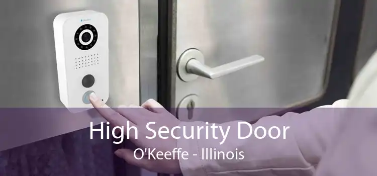 High Security Door O'Keeffe - Illinois