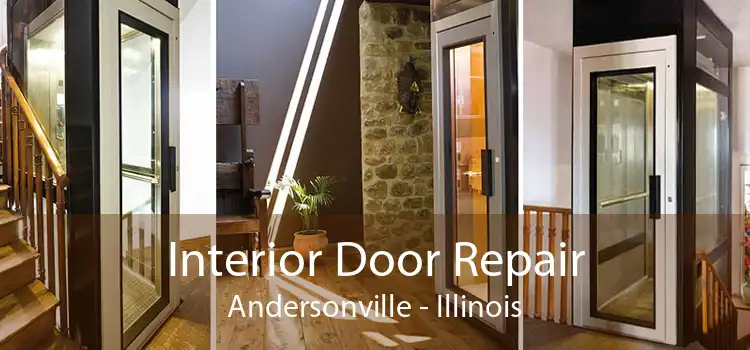 Interior Door Repair Andersonville - Illinois