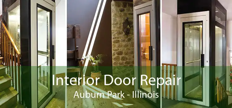 Interior Door Repair Auburn Park - Illinois