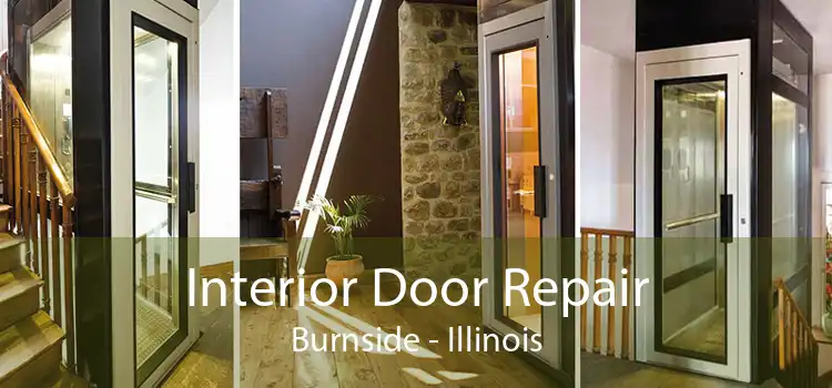 Interior Door Repair Burnside - Illinois