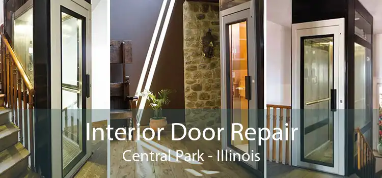 Interior Door Repair Central Park - Illinois