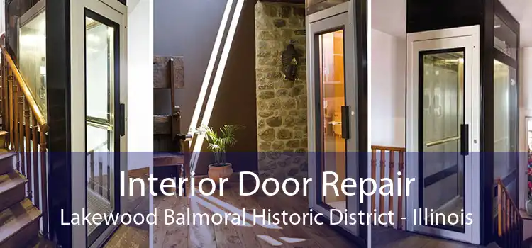 Interior Door Repair Lakewood Balmoral Historic District - Illinois