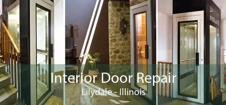 Interior Door Repair Lilydale - Illinois