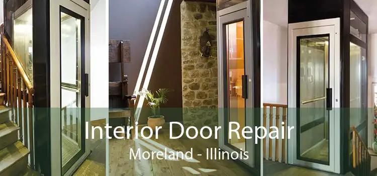 Interior Door Repair Moreland - Illinois