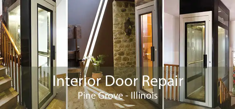 Interior Door Repair Pine Grove - Illinois